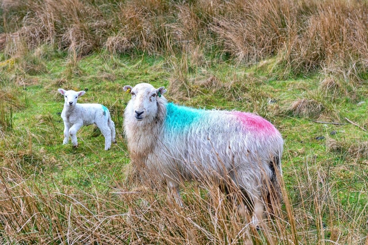 Finest Retreats - Maes Neuadd Blaenau Ffestiniog Kültér fotó